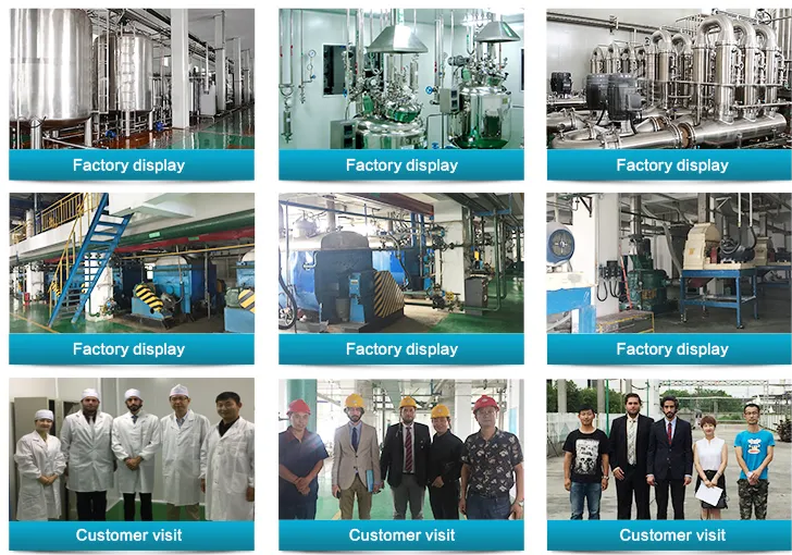 1702345312576215.png Factory.png