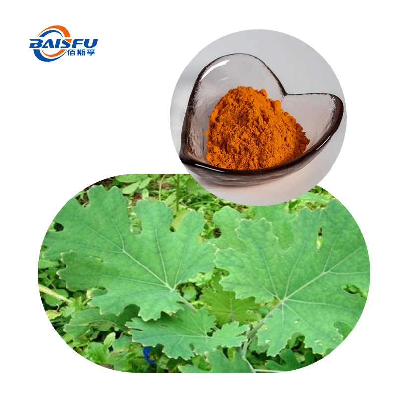 1733800649815866.jpg 15--博落回提取物-Macleaya-cordata-extract-01.jpg