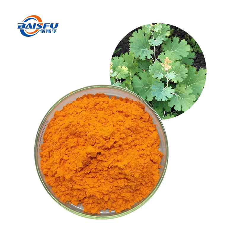 1733800688117315.jpg 15--博落回提取物-Macleaya-cordata-extract-03.jpg