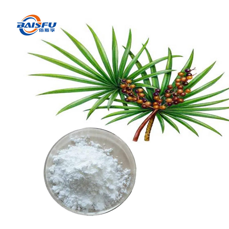 1733823713271871.jpg 37--锯叶棕提取物(锯叶棕脂肪酸)--Saw-Palmetto-extract-01.jpg