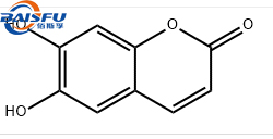 1734084208719059.jpg 786.jpg