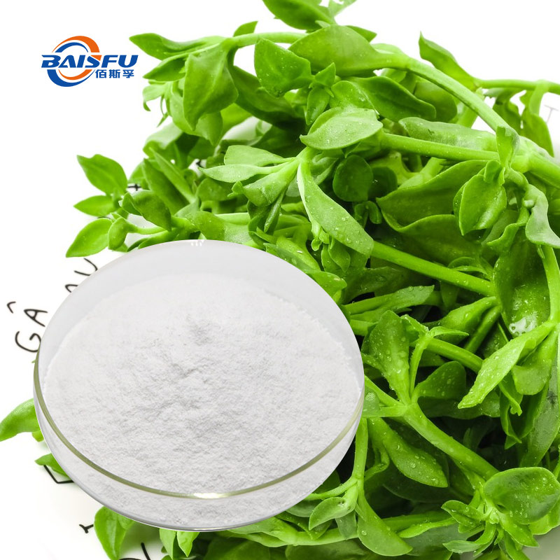 Andrographolide can Soothe Skin's Allergic Reactions and is used in Cosmetics