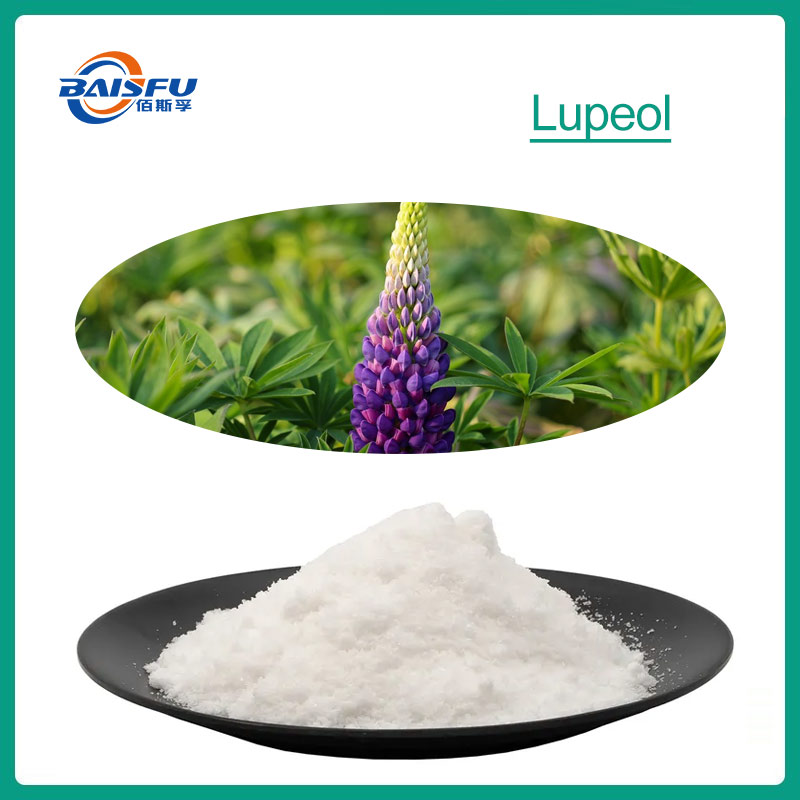 Lupeol can be used in Creams, Lotions, and Serums to Help Reduce Skin Inflammation