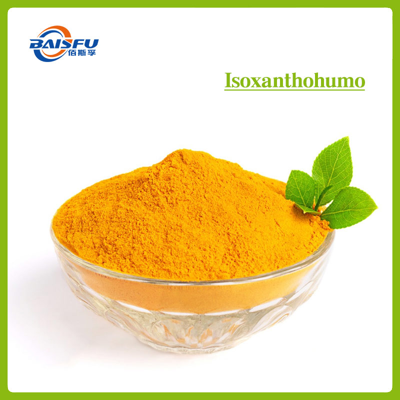 The Antioxidant Properties of Isoxanthohumol are used in Cosmetics to Maintain Skin Elasticity and Radiance