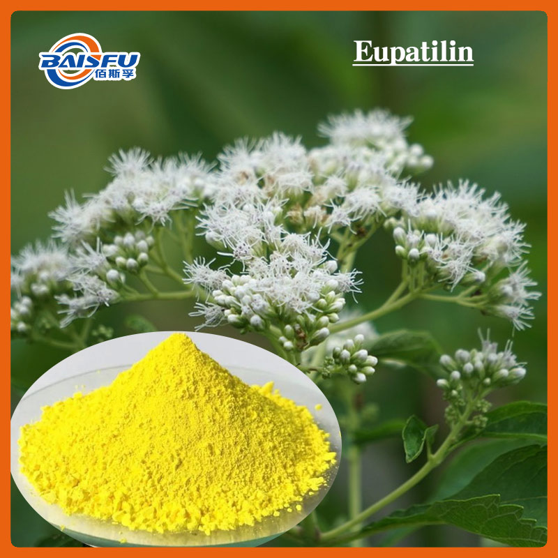 Factory Direct Sales of Plant Extracts - Eupatilin