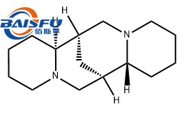 BAISFU professionally manufacture and supply sparteine, CAS No. 492-08-0