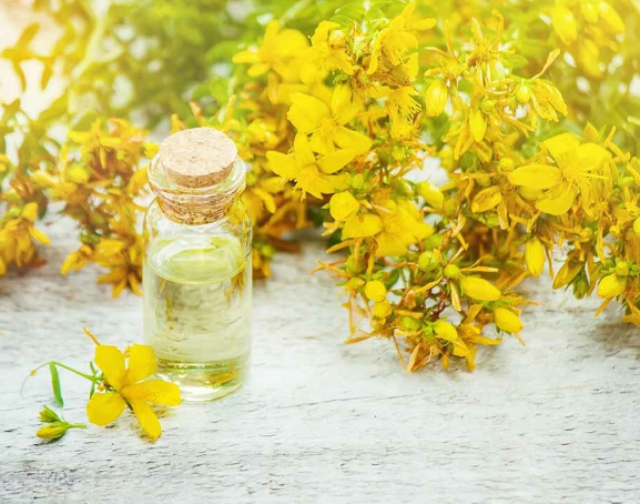 BAISFU Ylang Oil selling well in Europe and America market.CAS. 8006-81-3