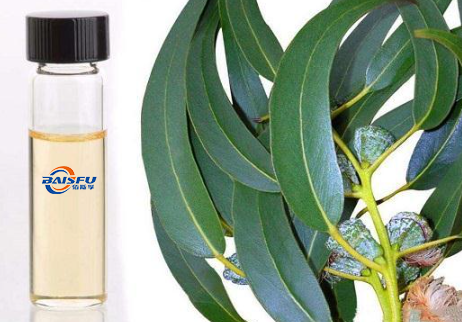 High quality 98% 1,8-Cineole/Cineole with factory price, CAS No.: 470-82-6