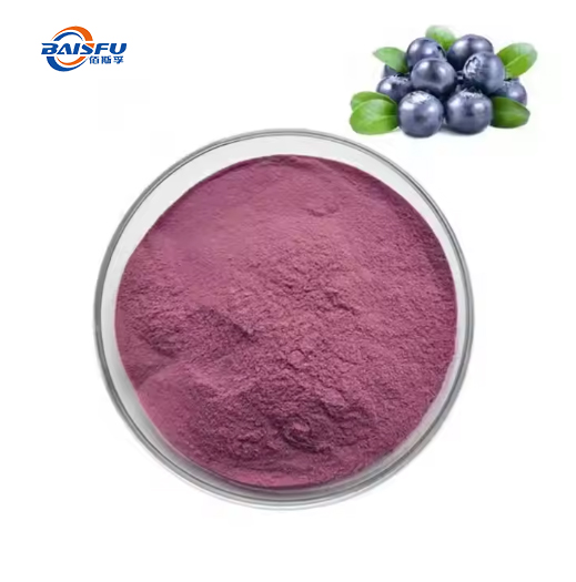 GMP Manufacturer top grade natural blueberry fruit flavor powder, blueberry juice powder for instant drink free sample